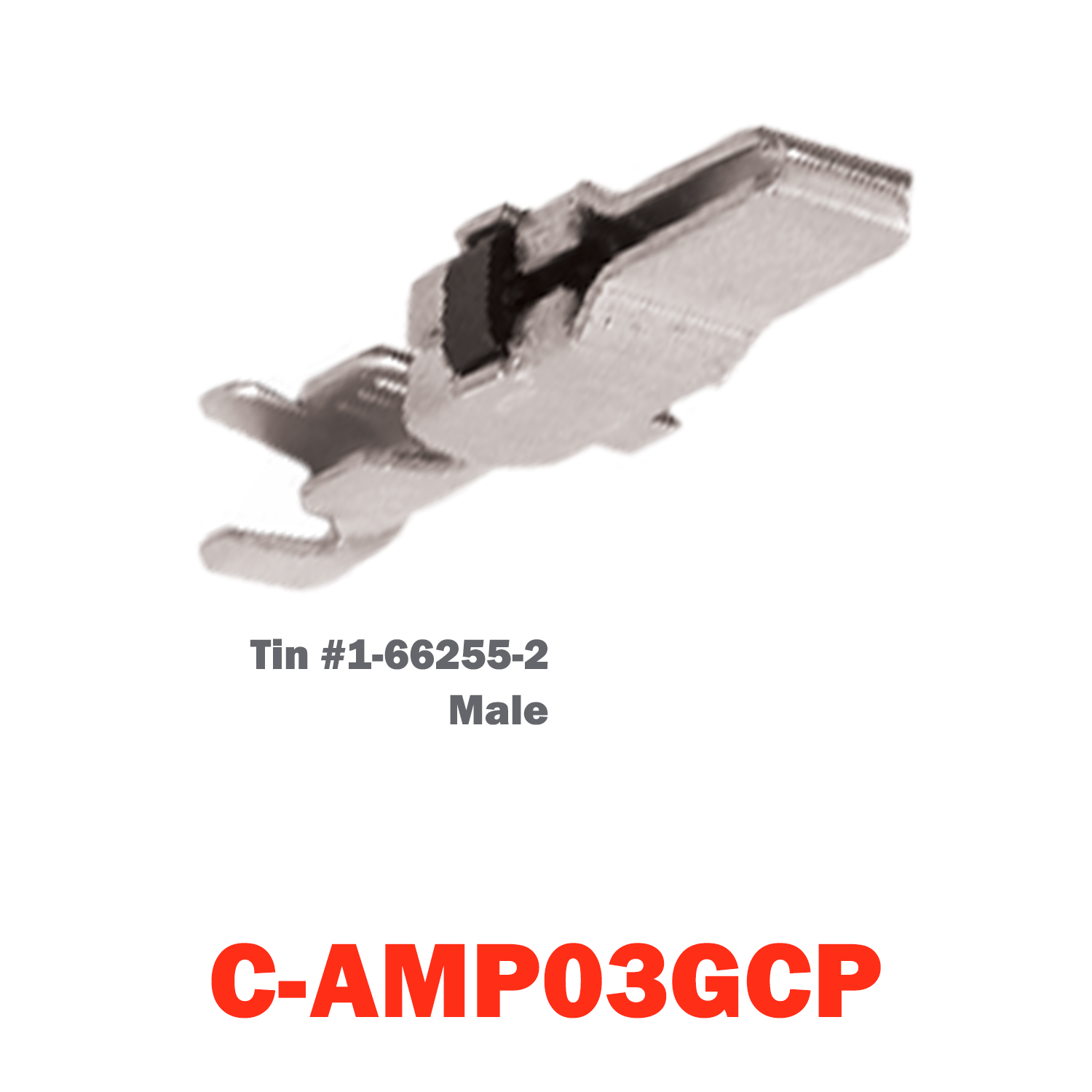 Male AMP Tin Pins | C-AMP03GCP