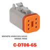 06 Pin Deutsch Plug | C-DT06-6S