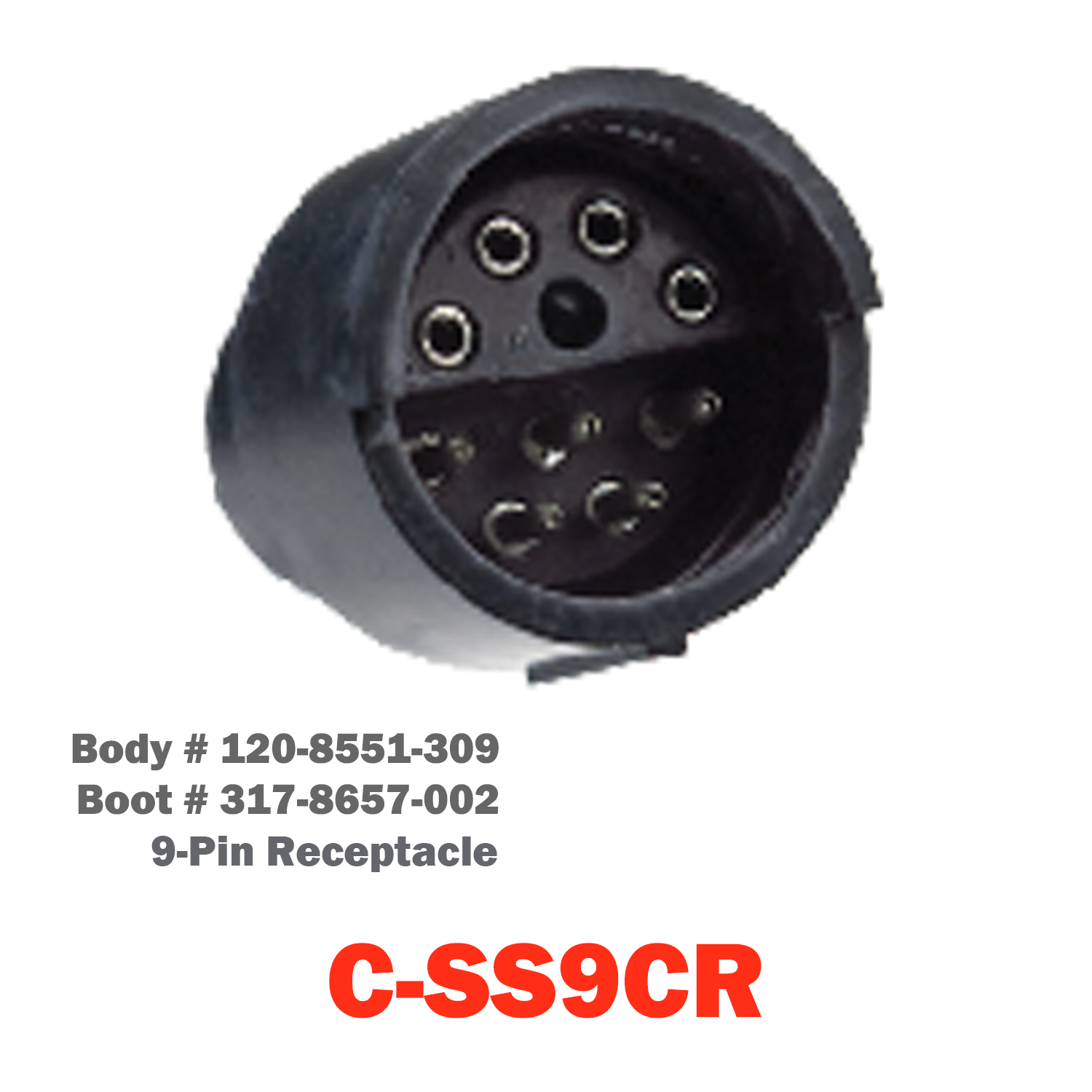09 Pin Cannon Receptacle | C-SS9CR