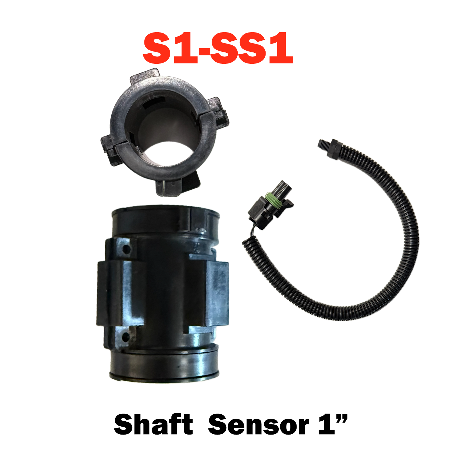 S1-SS1